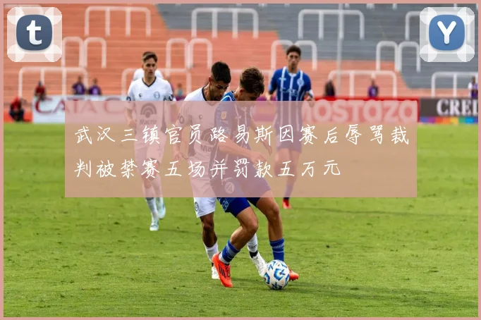 武汉三镇官员路易斯因赛后辱骂裁判被禁赛五场并罚款五万元