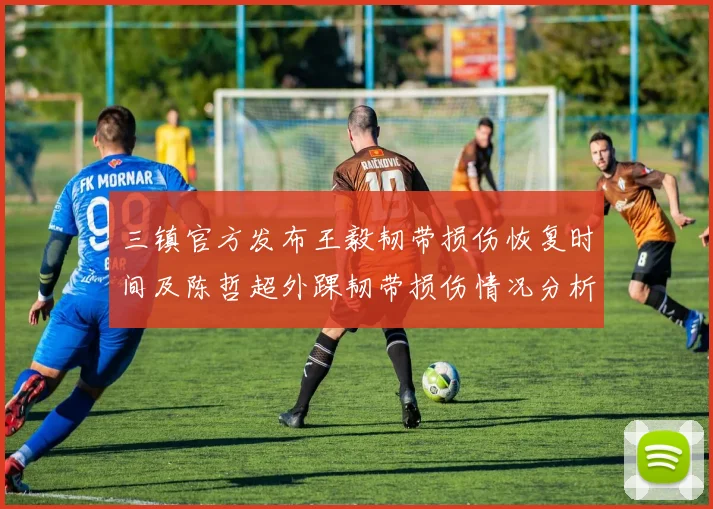三镇官方发布王毅韧带损伤恢复时间及陈哲超外踝韧带损伤情况分析