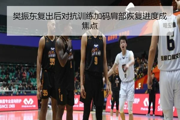 樊振东复出后对抗训练加码肩部恢复进度成焦点